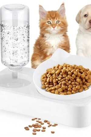 Automatinis vandens dozatorius ir maisto dubuo katėms